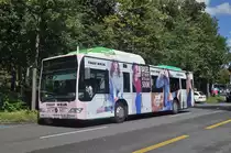Mercedes Citaro 804, mit der Tally Weijl Werbung, verlässt die Haltestelle der Linie 34 am Schützenhaus. Die Aufnahme stammt vom 10.09.2017.