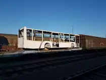 Mannheim Rangierbahnhof, 15.10.2017 - lackierte Karossen neuer Daimler-Stadtbusse auf dem Weg von Neu-Ulm nach Mannheim-Industriehafen. 

Hinweis an den Seitenbetreiber: Als Lokomotivführer habe ich diese Bilder heute auf dem Weg vom Dienst zur Meldestelle machen können, der Aufenthalt im Gleisbereich war also zulässig. Leider sieht man meinen Schatten aufgrund der tiefstehenden Sonne. 

Welche Unternehmen diese Busse mal einsetzen werden kann ich leider nicht beisteuern. 

Es waren 3 Solowagen der 12m-Klasse und 3 Vor- sowie 3 Endwagen von Gelenkbussen verladen. Die Züge der Gegenrichtung mit den unlackierten Rohkarossen sind stärker ausgelastet, die Karossen der Reise- und Überlandbusse verbleiben nach dem Lackieren in Neu-Ulm und werden dort montiert. Nur die Stadtbuskarossen werden nach dem Lackieren wieder nach Mannheim zurück transportiert und dort kompletiert. 
