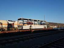 Mannheim Rangierbahnhof, 15.10.2017 - lackierte Karossen neuer Daimler-Stadtbusse auf dem Weg von Neu-Ulm nach Mannheim-Industriehafen. 

Hinweis an den Seitenbetreiber: Als Lokomotivführer habe ich diese Bilder heute auf dem Weg vom Dienst zur Meldestelle machen können, der Aufenthalt im Gleisbereich war also zulässig. Leider sieht man meinen Schatten aufgrund der tiefstehenden Sonne. 

Welche Unternehmen diese Busse mal einsetzen werden kann ich leider nicht beisteuern. 

Es waren 3 Solowagen der 12m-Klasse und 3 Vor- sowie 3 Endwagen von Gelenkbussen verladen. Die Züge der Gegenrichtung mit den unlackierten Rohkarossen sind stärker ausgelastet, die Karossen der Reise- und Überlandbusse verbleiben nach dem Lackieren in Neu-Ulm und werden dort montiert. Nur die Stadtbuskarossen werden nach dem Lackieren wieder nach Mannheim zurück transportiert und dort kompletiert. 