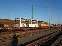 Mannheim Rangierbahnhof, 15.10.2017 - lackierte Karossen neuer Daimler-Stadtbusse auf dem Weg von Neu-Ulm nach Mannheim-Industriehafen. 

Hinweis an den Seitenbetreiber: Als Lokomotivführer habe ich diese Bilder heute auf dem Weg vom Dienst zur Meldestelle machen können, der Aufenthalt im Gleisbereich war also zulässig. Leider sieht man meinen Schatten aufgrund der tiefstehenden Sonne. 

Welche Unternehmen diese Busse mal einsetzen werden kann ich leider nicht beisteuern. 

Es waren 3 Solowagen der 12m-Klasse und 3 Vor- sowie 3 Endwagen von Gelenkbussen verladen. Die Züge der Gegenrichtung mit den unlackierten Rohkarossen sind stärker ausgelastet, die Karossen der Reise- und Überlandbusse verbleiben nach dem Lackieren in Neu-Ulm und werden dort montiert. Nur die Stadtbuskarossen werden nach dem Lackieren wieder nach Mannheim zurück transportiert und dort kompletiert. 