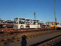 Mannheim Rangierbahnhof, 15.10.2017 - lackierte Karossen neuer Daimler-Stadtbusse auf dem Weg von Neu-Ulm nach Mannheim-Industriehafen. 

Hinweis an den Seitenbetreiber: Als Lokomotivführer habe ich diese Bilder heute auf dem Weg vom Dienst zur Meldestelle machen können, der Aufenthalt im Gleisbereich war also zulässig. Leider sieht man meinen Schatten aufgrund der tiefstehenden Sonne. 

Welche Unternehmen diese Busse mal einsetzen werden kann ich leider nicht beisteuern. 

Es waren 3 Solowagen der 12m-Klasse und 3 Vor- sowie 3 Endwagen von Gelenkbussen verladen. Die Züge der Gegenrichtung mit den unlackierten Rohkarossen sind stärker ausgelastet, die Karossen der Reise- und Überlandbusse verbleiben nach dem Lackieren in Neu-Ulm und werden dort montiert. Nur die Stadtbuskarossen werden nach dem Lackieren wieder nach Mannheim zurück transportiert und dort kompletiert. 