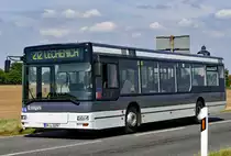 MAN Niederflug 2. Generation,  Langen  bei Nörvenich - 05.07.2017