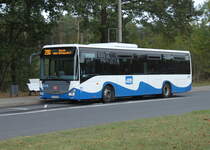 Iveco-Irisbus Crossway der DB Tochter UBB stand am 23.10.2017 als Linie 290 von Ahlbeck(Grenze) nach Basin via Heringsdorf an der Haltestelle Ahlbeck Grenze.