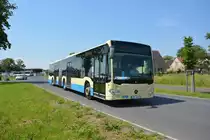 Am 04.06.2016 fährt LDS-VG 258 für die ILA 2016 Shuttle auf der Shuttle Linie  P3 . Aufgenommen wurde ein Mercedes Benz Citaro G II der RVS.
