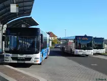 Drei 15m MAN Lion's City von Oppermann Trabsporte und der VVR in Sassnitz am 30.10.2016