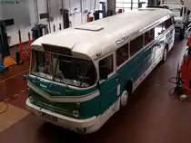Ikarus 66 der Neubrandenburger Verkehrsbetriebe in Neubrandenburg am 09.11.2016