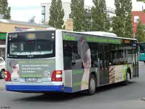 MAN Lion's City von Havelbus in Potsdam am 10.06.2016