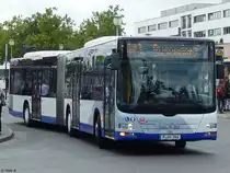 MAN Lion's City der Beelitzer Verkehrs- und Servicegesellschaft mbH in Potsdam am 10.06.2016