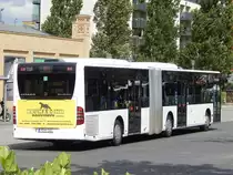 Mercedes Citaro II der Beelitzer Verkehrs- und Servicegesellschaft mbH in Potsdam am 10.06.2016