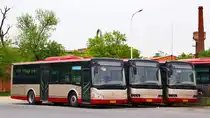 Drei JINMA Busse in Tianjin
03/01/2017