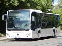 Mercedes Citaro III von Karsten Brust aus Deutschland in Potsdam am 10.06.2016