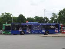 MAN Lion's City von Autoraft in Flensburg am 15.07.2014