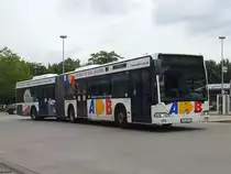 Mercedes Citaro II von Aktivbus Flensburg in Flensburg am 15.07.2014