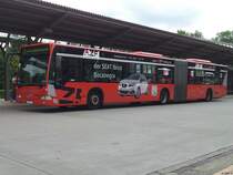 Mercedes Citaro II von Aktivbus Flensburg in Flensburg am 15.07.2014