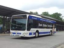 Mercedes Citaro II von Allgemeine Flensburger Autobusgesellschaft mbH & Co. KG in Flensburg am 15.07.2014