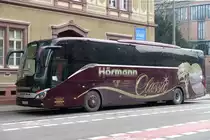 Setra S 516 HD  Hörmann , Karlsruhe 08.02.2018