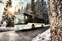 Ein SETRA S 415 NF von Siebler Reisen, aufgenommen am 8.2.2018, nahe der Haltestelle Berg im Drautal Lassin.
Unterwegs war der Bus auf der Kfl. 5021 als Kurs 11 (Oberdrauburg Bahnhof - Gerlamoos).