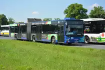 Am 04.06.2016 fährt OHV-VK 132 für die ILA 2016 auf der Shuttle Linie  R . Aufgenommen wurde ein MAN Lion's City G der OVG.
