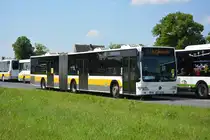 Am 04.06.2016 fährt TF-VG 112 für die ILA 2016 auf der Shuttle Linie  S . Aufgenommen wurde ein Mercedes Benz Citaro I Facelift G der VTF.
