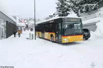 Postauto/Regie Scuol GR 159 302 (Mercedes Citaro O530LE) am 22.1.2018 in Scuol, Posta