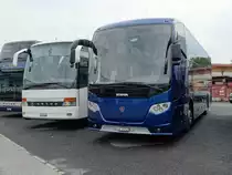 Scania OmniExpress, Armée Suisse, Kerzers juillet 2016

Plus de photos sur : https://www.facebook.com/AutocarsenSuisse/ 