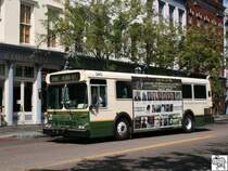 New Flyer Industries C/D 35 der Charleston Area Regional Transportation Authority (CARTA) . Aufgenommen am 23. September 2008 in Charleston, South Carolina.