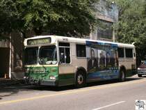 New Flyer Industries C/D 35 der Charleston Area Regional Transportation Authority (CARTA) . Aufgenommen am 23. September 2008 in Charleston, South Carolina.