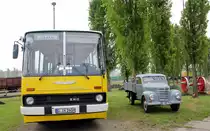 Ikarus 260 in den Gera. Foto 06.05.2017