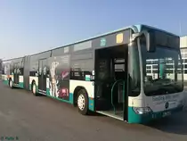 Mercedes Citaro II der Neubrandenburger Verkehrsbetriebe in Neubrandenburg am 10.02.2017