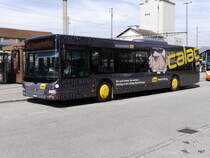 asm Oberaargau - MAN Lion`s City  Nr.43  BE  630623 in Herzogenbuchsee am 03.04.2018