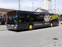 asm Oberaargau - MAN Lion`s City  Nr.43  BE  630623 in Herzogenbuchsee am 03.04.2018