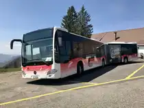 BGU C2 Gelenkbus am 21.4.18 nach der Ankunft beim Unteren Grenchenberg.