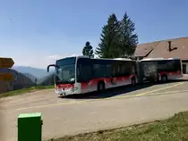 Der BGU Gelenkbus Mercedes C2 Nr. 8 am 21.4.18 beim Unteren Grenchenberg.