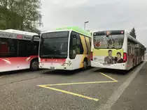 Der BGU Citaro Facelift Nr. 24 findet am 23.4.18 einen Weg zwischen Zwei C2 durch zukommen