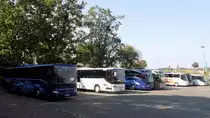2x Mercedes Tourismo und Setra 415 UL von Becker-Strelitz Reisen aus Deutschland in Rostock am 18.09.2014