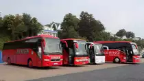 Volvo 9700 von Janzen und Setra 415 GT-HD von Reisering Hamburg und Temsa MD9 von Prima Klima Reisen und Setra 516 HD von Reisering Hamburg aus Deutschland im Stadthafen Sassnitz am 07.09.2014