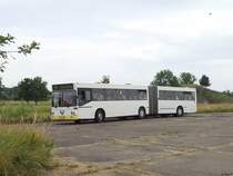 MAN SG 242 vom Technikmuseum Pütnitz bei Ribnitz-Damgarten am 05.07.2014
