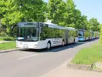 MAN Lion's City OHV-VK53 der OVG aus Oranienburg für Shuttle Fahrten zur ILA 2018 steht am U Bahnhof Berlin Rudow am 29. April 2018 bereit. 


