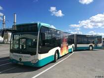 Mercedes Citaro III der Neubrandenburger Verkehrsbetriebe in Neubrandenburg am 11.04.2017