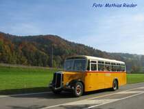 Berna- Schnauzen Postauto unterwegs am 11.10.08 vor Bauma als Kurswagen