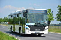 KO-UQ 622 fährt am 04.06.2016 für die ILA auf der Shuttle-Linie  S . Aufgenommen wurde ein Scania Citywide.
