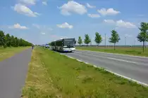 Am 04.06.2016 fährt HVL-VG 439 für die ILA auf der Shuttle-Linie S zwischen ILA Gelände und Bahnhof Schönefeld. Aufgenommen wurde ein MAN Lion's City G der Havelbus.
