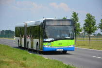 Am 04.06.2016 fährt P-AV 195 für die ILA auf der Shuttle-Linie P3 zwischen ILA Gelände und Parkplatz P3. Aufgenommen wurde ein Solaris Urbino 18 der BVSG (Betriebshof Potsdam).
