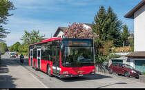 Umleitung Linie 29 via Buchseeweg - Lilienweg - Mösliweg aufgrund Sanierung der Kreiselfahrbahn an der Landorfstrasse am 28./29. April 2018. BERNMOBIL Wagen 420 am 29. April im Lilienweg.