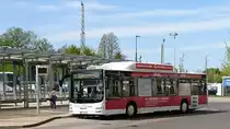 ....Stadtwerke Greifswald dieser MAN CNG HGW NV 34 am Busbahnhof Mai 2018 
