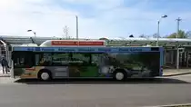 ....Busbahnhof Greifswald dieser MAN CNG der Stadtwerke Greifswald und seiner Werbung für Gartenwelt Meißner 