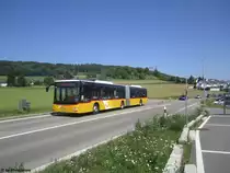 Postauto/Regie Endingen AG 479 331 (MAN A23 Lion's City G) am 11.5.2018 beim Bhf. Niederweningen. Der Bahnhof Niederweningen liegt am Rande des Kantons Zürich, kurz dahinter befindet sich die Kantonsgrenze zum Nachbarkanton Aargau. Erkennbar am Grenzstein links des Postautos. Der Fotografenstandort befindet sich daher im Kanton Aargau, während der MAN noch im Kanton Zürich fotografiert wurde.