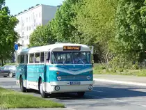 Ikarus 66 der Neubrandenburger Verkehrsbetriebe in Neubrandenburg am 21.05.2017