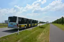 Am 04.06.2016 fährt TF-VG 229 auf der ILA-Shuttle Linie S zwischen dem ILA-Gelände und Bahnhof Schönefeld. Aufgenommen wurde ein Mercedes Benz Citaro I Facelift Ü der VTF.
