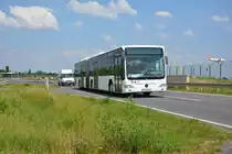 Am 04.06.2016 fährt P-AV 161 für die ILA 2016 auf der ILA Sonderlinie P3 zwischen Parkplatz P3 und ILA-Gelände. Aufgenommen wurde ein Mercedes Benz Citaro I Facelift G der BVSG (Betriebshof Potsdam).